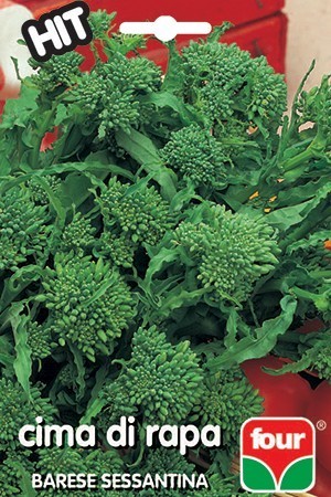 Four Blumen Semi Di Broccoletto Cima di Rapa Sessantina