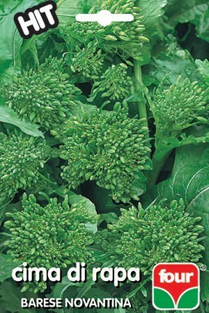 Four Blumen Semi Di Broccoletto Cima di Rapa Novantina