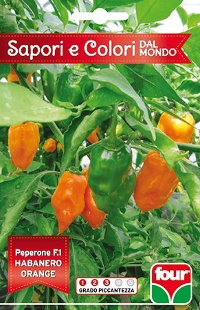 Four Blumen Seme Di Peperone Piccante F.1 Habanero Orange