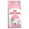 Royal Canin Kitten 36  2-12 Mesi Sacco 10 kg