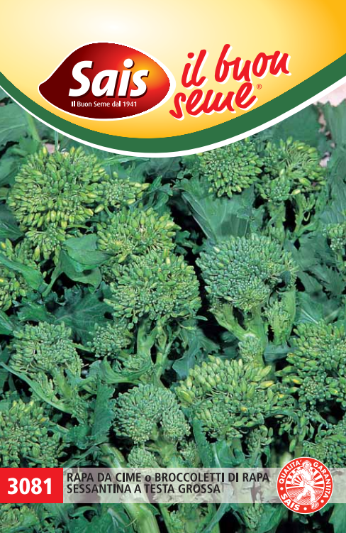 Sais Semi Di Broccoletto Cima di Rapa Sessantina a Testa Grossa 40 GR