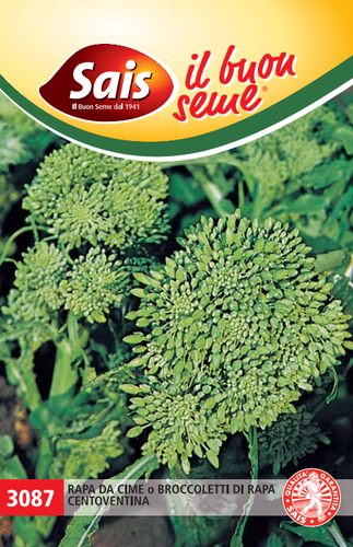 Sais Semi Di Broccoletto Cima di Rapa Centoventina a Testa Grossa 40 GR