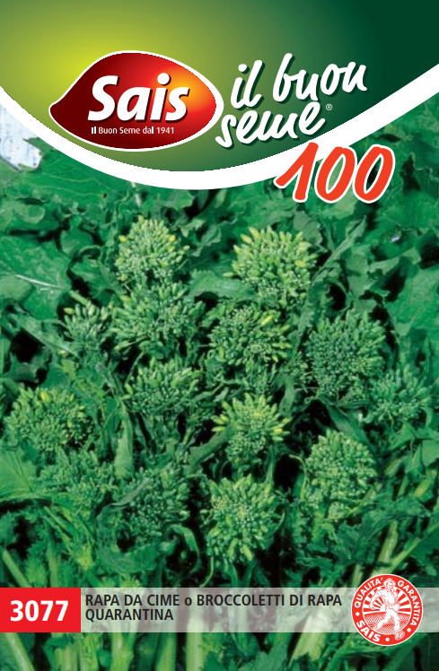 Sais Semi Di Broccoletto Cima di Rapa Quarantina 100 GR