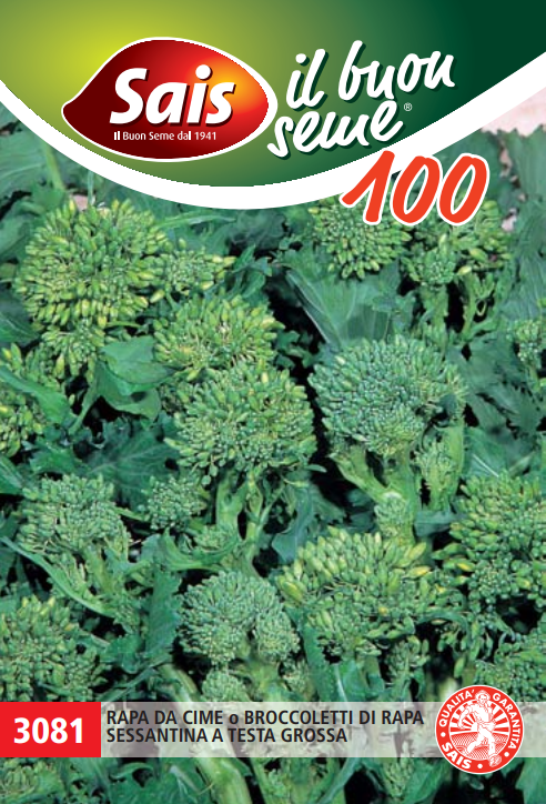 Sais Semi Di Broccoletto Cima di Rapa Sessantina 100 GR