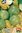 Four Blumen Semi Di Melone Invernale Meraviglia di Trapani F.1